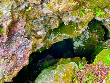 鬼押出し園に投稿された画像（2022/7/17）