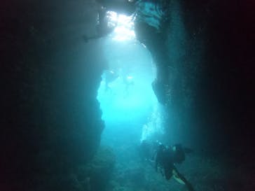 武藤潜水に投稿された画像（2022/7/18）