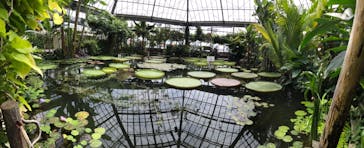 熱川バナナワニ園に投稿された画像（2022/7/18）