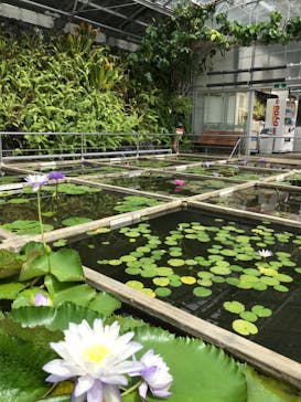 熱川バナナワニ園に投稿された画像（2022/7/18）