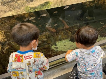 大分マリーンパレス水族館 「うみたまご」に投稿された画像（2022/7/18）