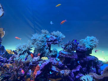 サンシャイン水族館に投稿された画像（2022/7/18）