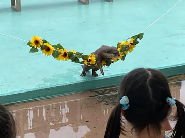 横浜・八景島シーパラダイスに投稿された画像（2022/7/18）