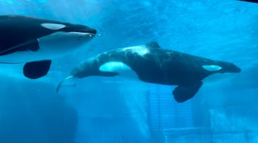 名古屋港水族館に投稿された画像（2022/7/18）