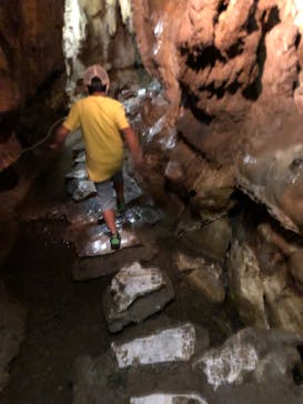 あぶくま洞に投稿された画像（2022/7/18）