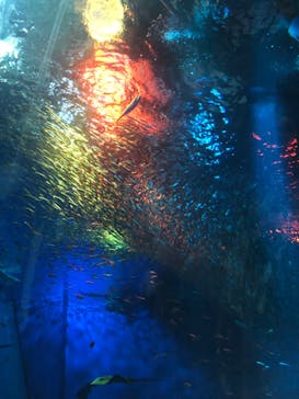 アクアワールド茨城県大洗水族館に投稿された画像（2022/7/18）