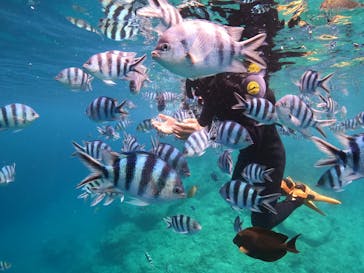 沖縄マリンサービス碧に投稿された画像（2022/7/18）