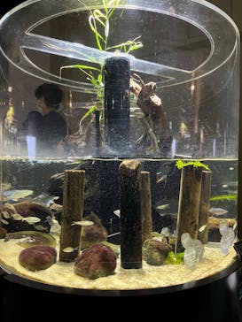 カワスイ 川崎⽔族館に投稿された画像（2022/7/18）