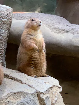 神戸どうぶつ王国に投稿された画像（2022/7/18）