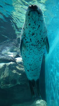 アクアワールド茨城県大洗水族館に投稿された画像（2022/7/18）
