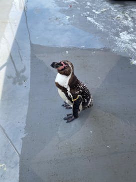 南知多ビーチランド＆南知多おもちゃ王国に投稿された画像（2022/7/18）