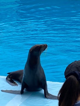 南知多ビーチランド＆南知多おもちゃ王国に投稿された画像（2022/7/18）