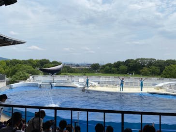 京都鉄道博物館×京都水族館に投稿された画像（2022/7/18）
