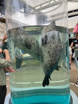 京都鉄道博物館×京都水族館に投稿された画像（2022/7/18）