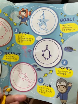 城崎マリンワールドに投稿された画像（2022/7/18）