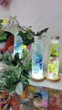 ずこうしつ〜sugamo〜に投稿された画像（2022/7/18）