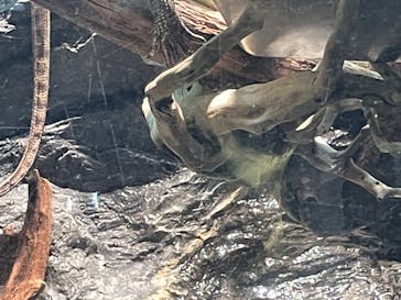 サンシャイン水族館に投稿された画像（2022/7/18）