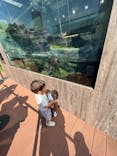 サンシャイン水族館に投稿された画像（2022/7/18）