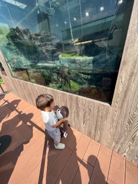 サンシャイン水族館に投稿された画像（2022/7/18）