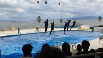 マリンワールド海の中道に投稿された画像（2022/7/18）