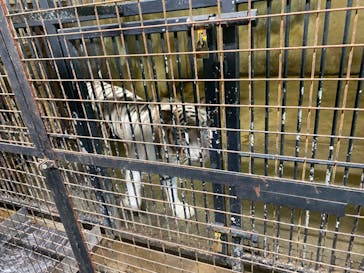 群馬サファリパークに投稿された画像（2022/7/18）