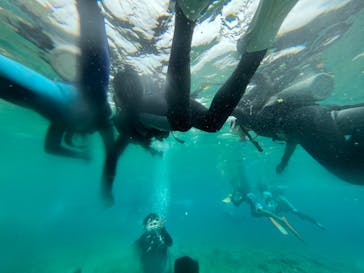 DIVING-SHOP SUNSに投稿された画像（2022/7/18）