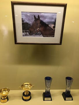 ノーザンホースパークに投稿された画像（2022/7/18）