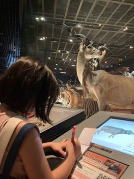 国立科学博物館に投稿された画像（2022/7/18）