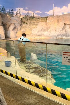 名古屋港水族館に投稿された画像（2022/7/18）