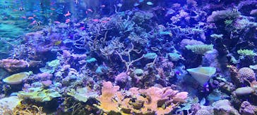 名古屋港水族館に投稿された画像（2022/7/18）