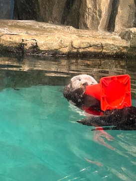 マリンワールド海の中道に投稿された画像（2022/7/18）