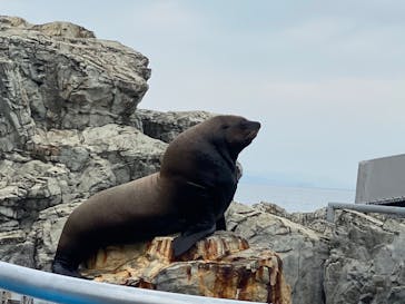 大分マリーンパレス水族館 「うみたまご」に投稿された画像（2022/7/18）