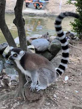 神戸どうぶつ王国に投稿された画像（2022/7/18）