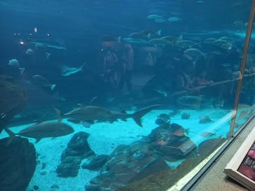 株式会社Gに投稿された画像（2022/7/18）