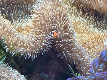 名古屋港水族館に投稿された画像（2022/7/18）