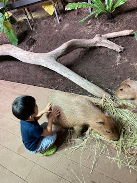 カワスイ 川崎⽔族館に投稿された画像（2022/7/18）