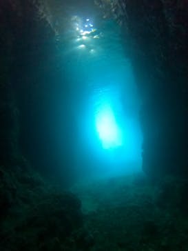 武藤潜水に投稿された画像（2022/7/18）