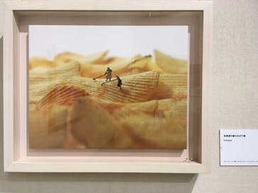 MINIATURE LIFE展 ー田中達也 見立ての世界ー（釧路市立美術館）に投稿された画像（2022/7/18）