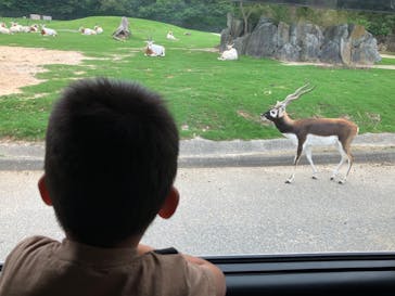 姫路セントラルパークに投稿された画像（2022/7/18）