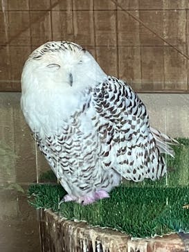 姫路セントラルパークに投稿された画像（2022/7/18）