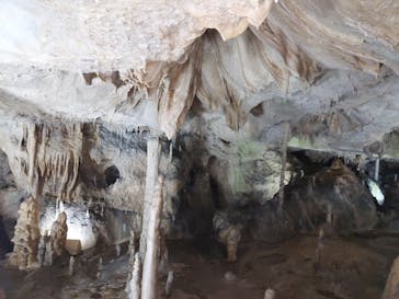 あぶくま洞に投稿された画像（2022/7/18）