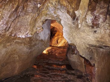 あぶくま洞に投稿された画像（2022/7/18）