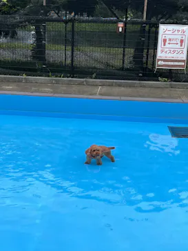 わんダフルネイチャーヴィレッジに投稿された画像（2022/7/18）