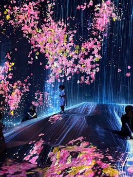 森ビル デジタルアート ミュージアム：エプソン チームラボボーダレスに投稿された画像（2022/7/18）