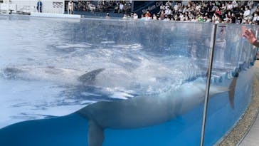 京都水族館に投稿された画像（2022/7/18）