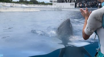 京都水族館に投稿された画像（2022/7/18）