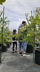 甲斐こまベリーファームに投稿された画像（2022/7/18）