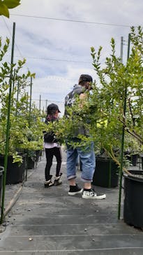 甲斐こまベリーファームに投稿された画像（2022/7/18）