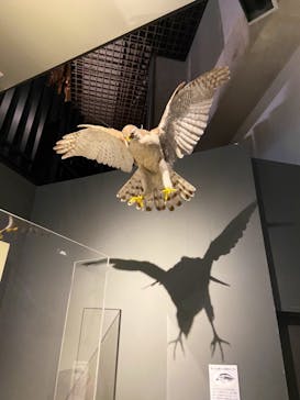 国立科学博物館に投稿された画像（2022/7/18）