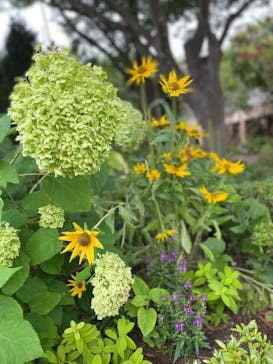 NESTA RESORT KOBE（ネスタリゾート神戸）に投稿された画像（2022/7/18）